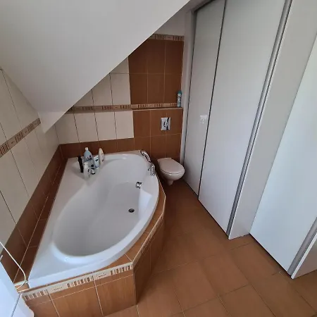 Dum Mnichov Bazen Klimatizace Vrbno pod Pradedem