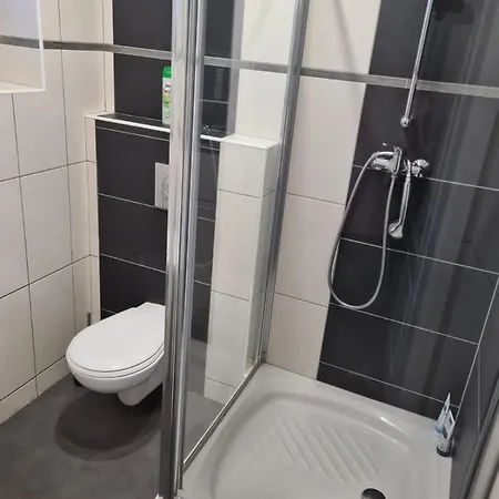 Dum Mnichov Bazen Klimatizace Vrbno pod Pradedem